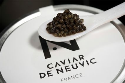 Caviar