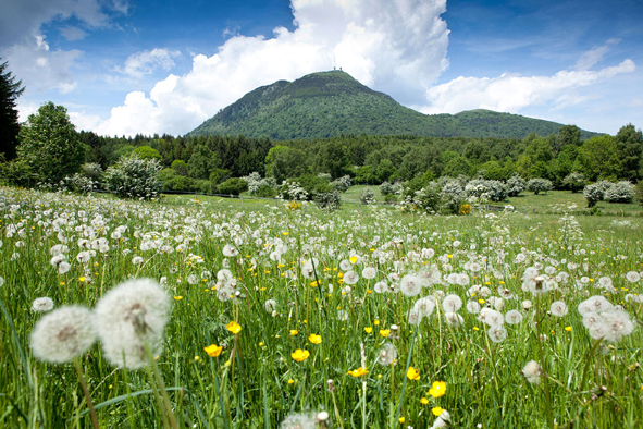 Paysage Auvergne - (c) Auvergne Nouveau Monde